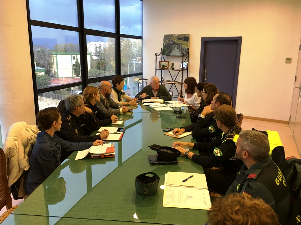 Comision violencia genero