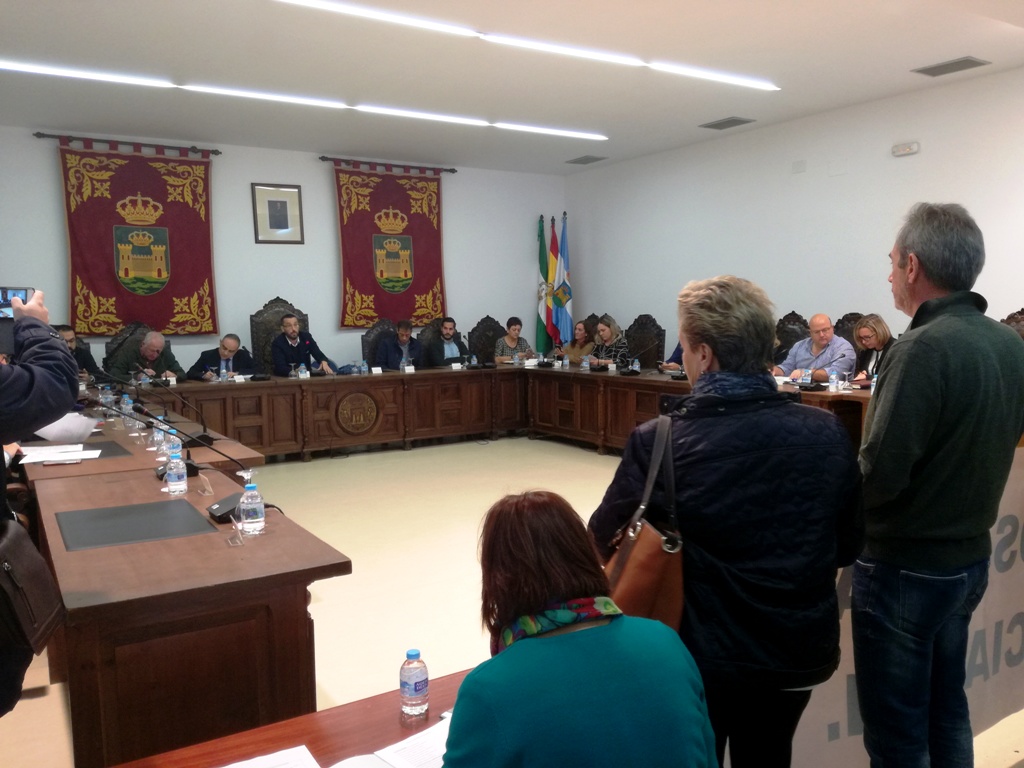 pleno extraordinario noviembre