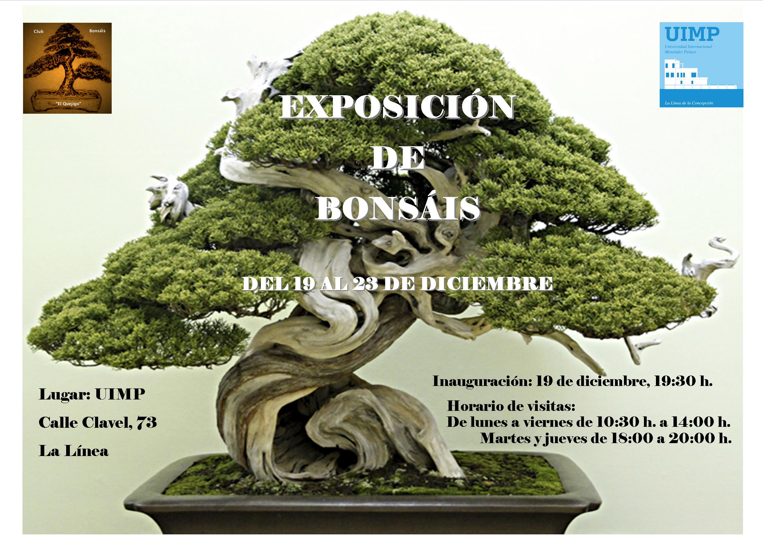 Expo Bonsais