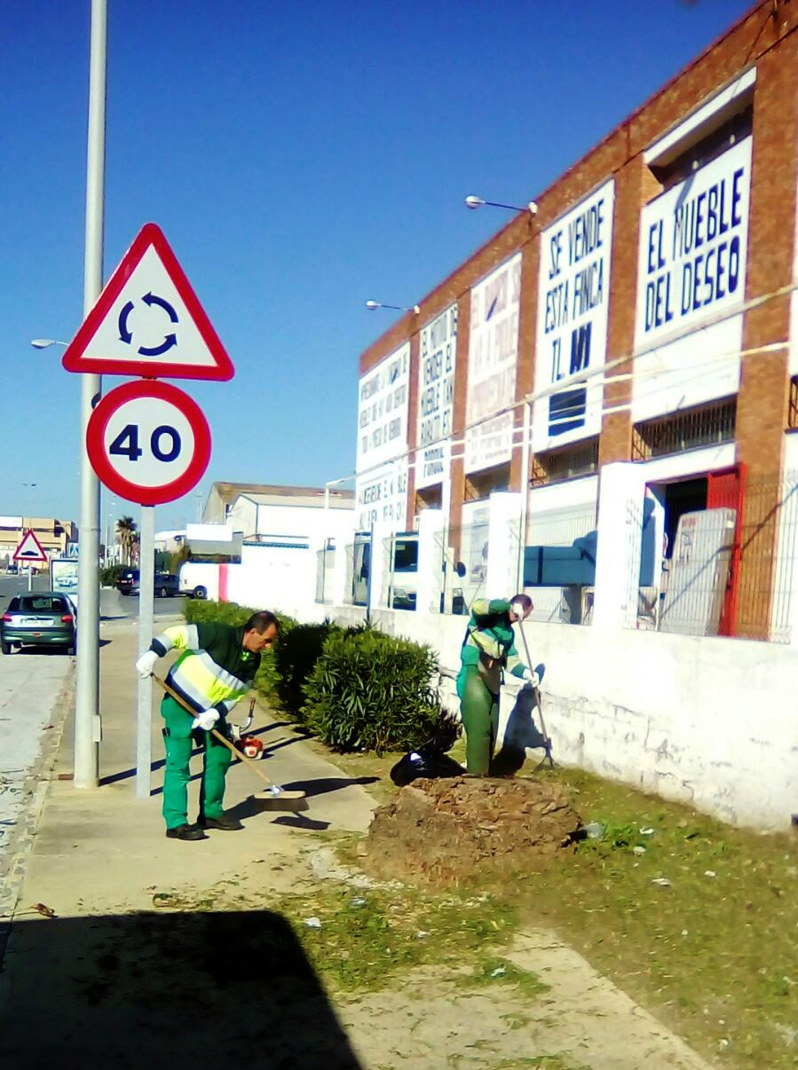 Trabajos jardines 1