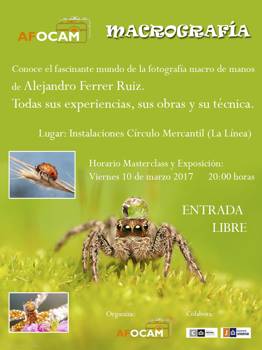 Expo macrofotografia