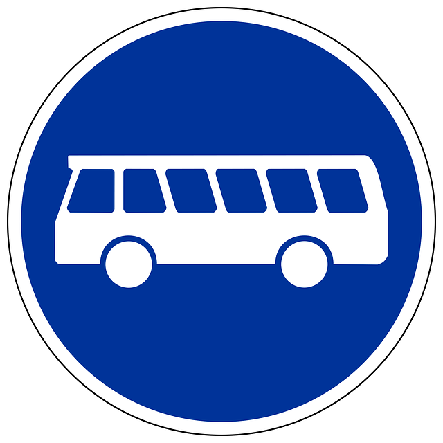 bus
