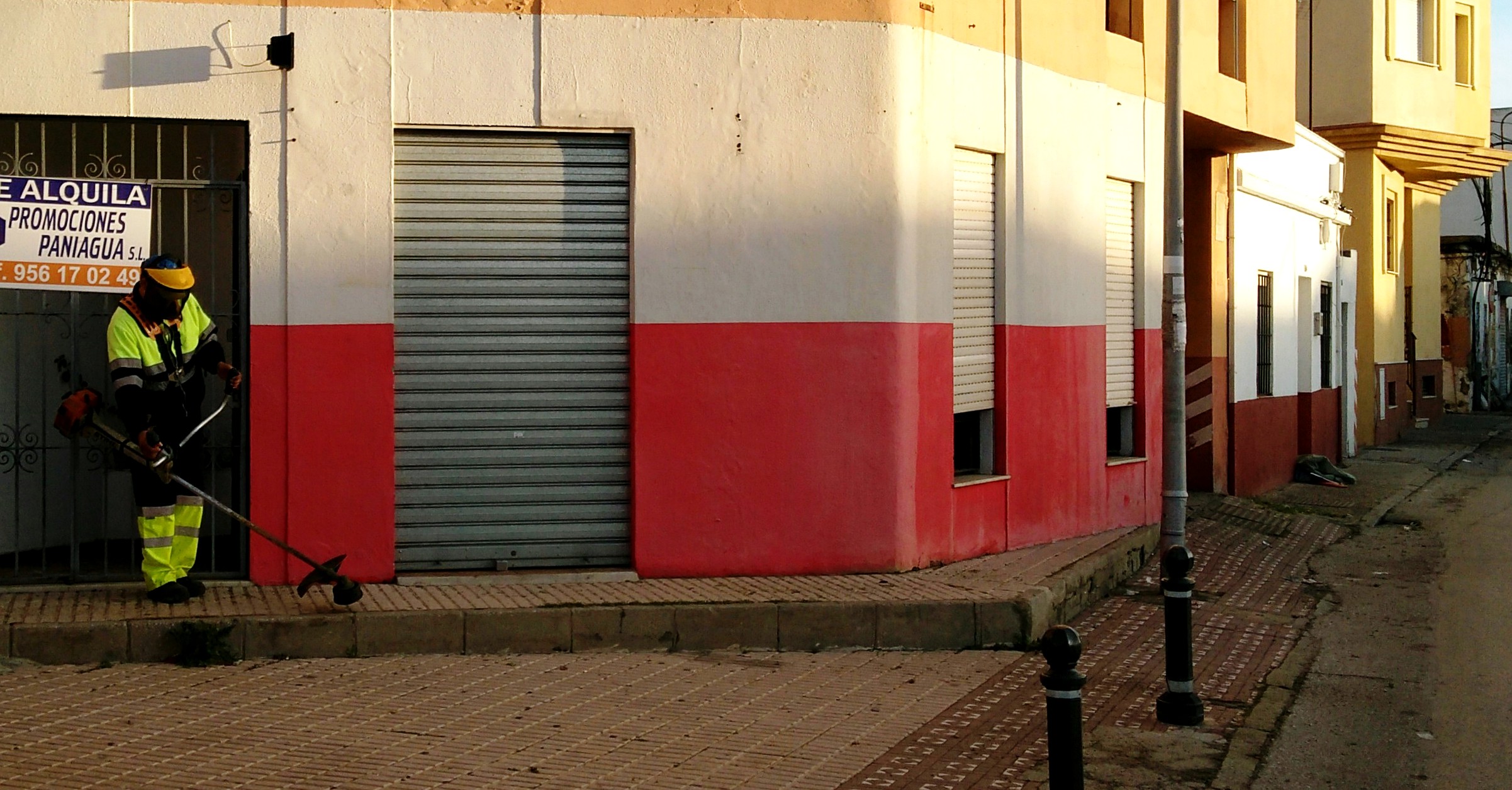 Limpieza hierbas