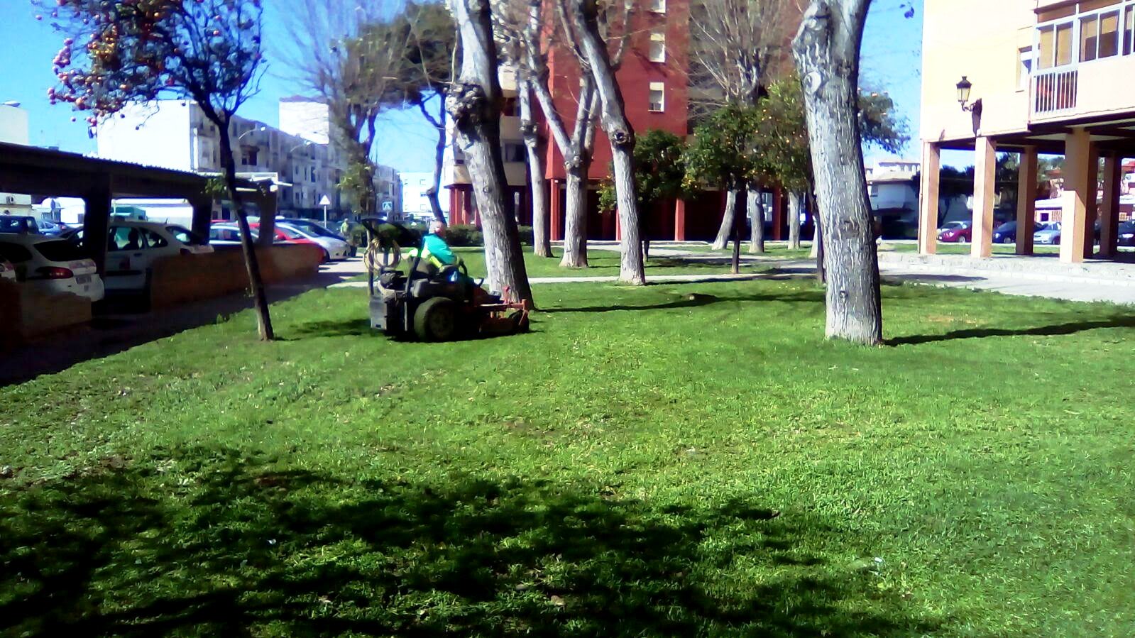 Trabajo siega cesped parques y jardines