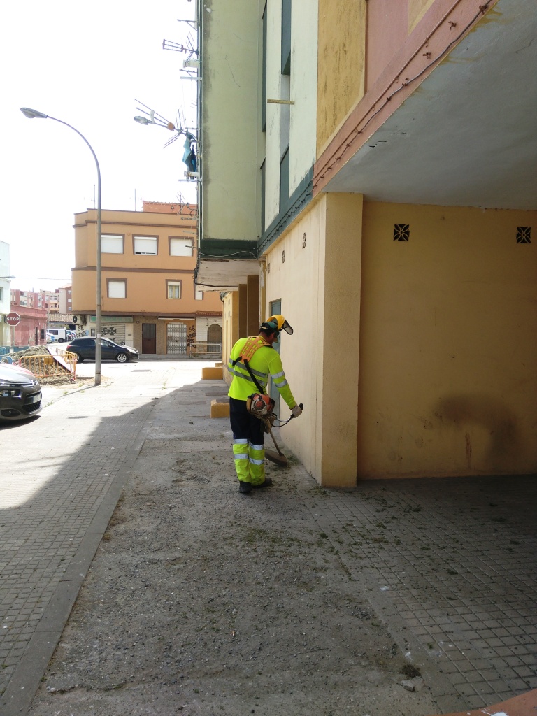 CORTE DE HIERBAS EN MONDEJAR