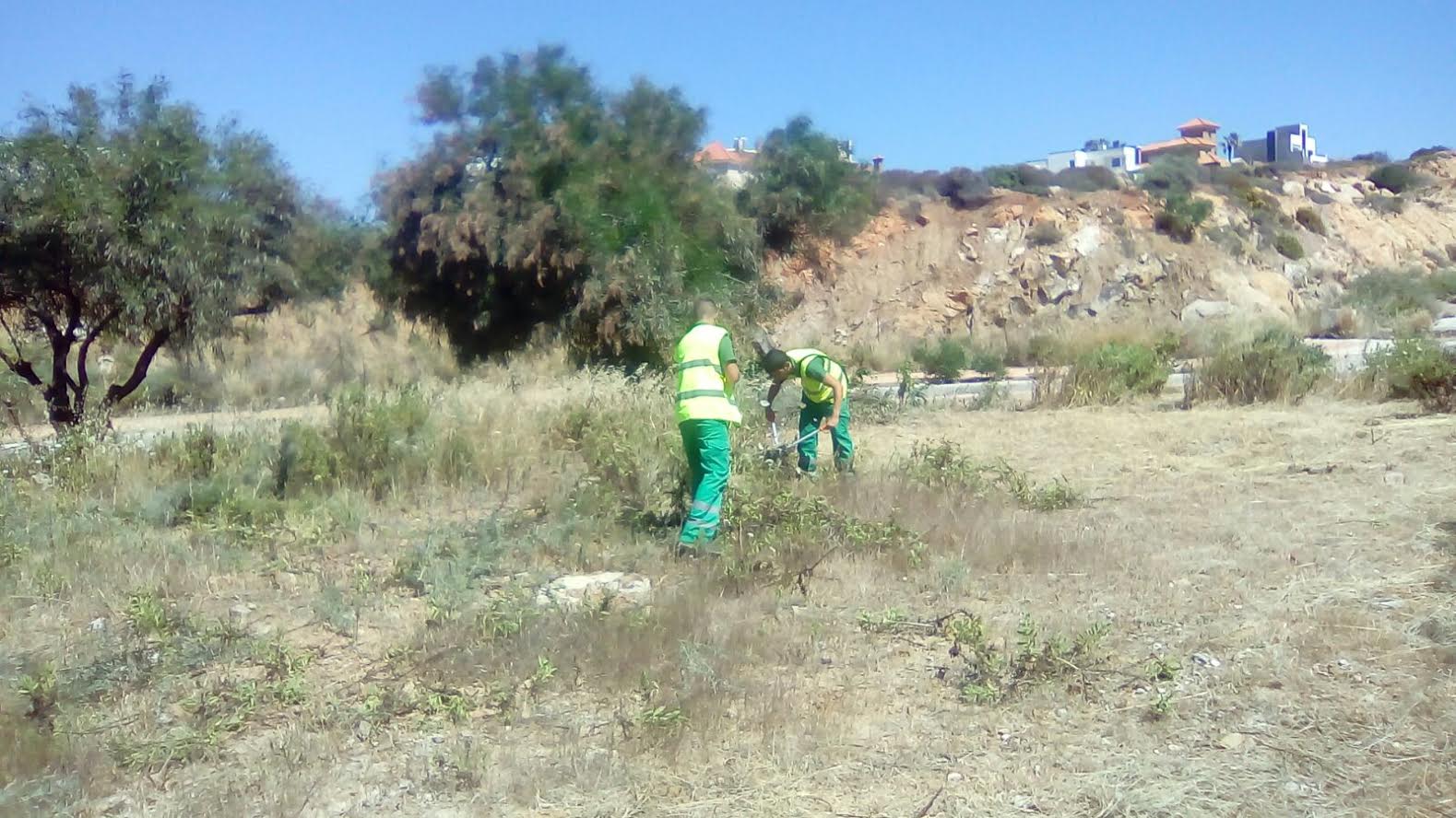 CAMINO DE LA TORRE 2