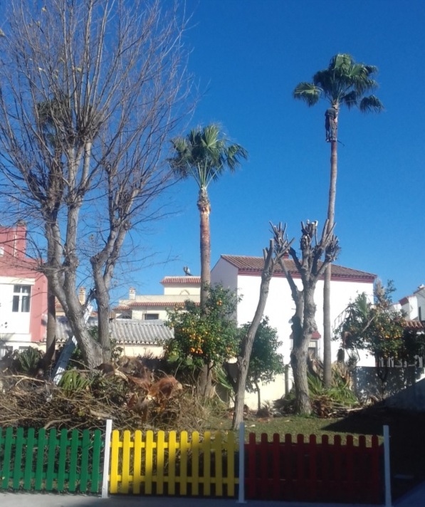 Jardineria colegios 2