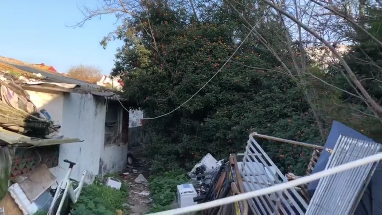 LOCAL EN MENENDEZ PELAYO