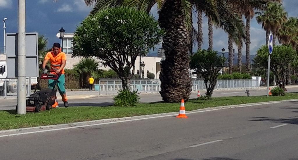 Jardineria mediana paseo Poniente