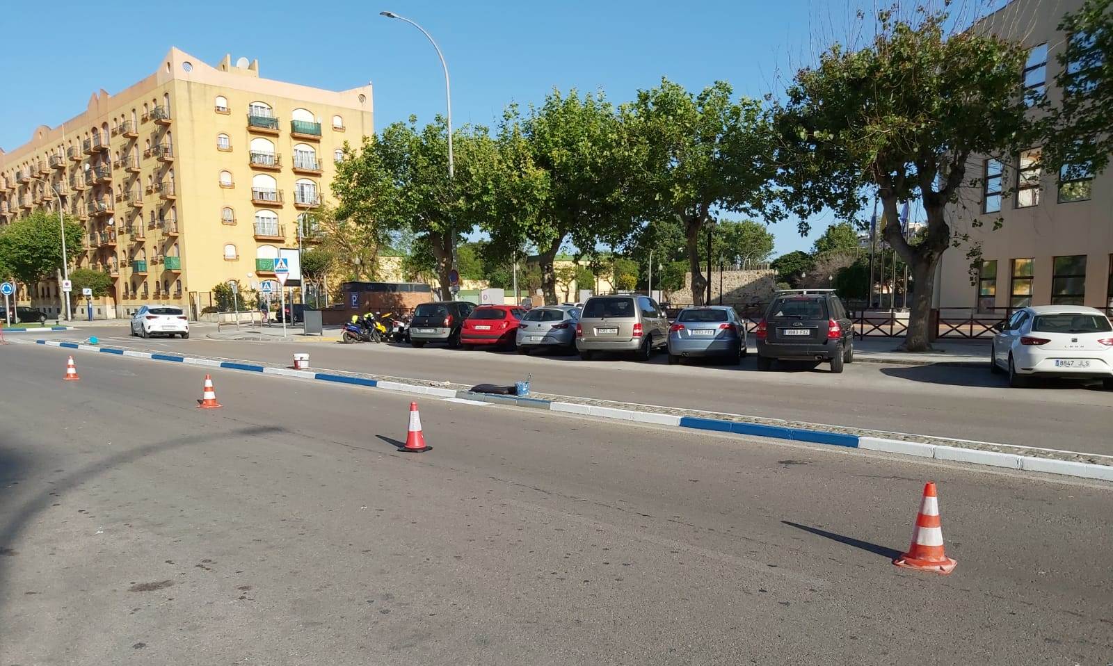 Pintado bordillos avda del Ejercito