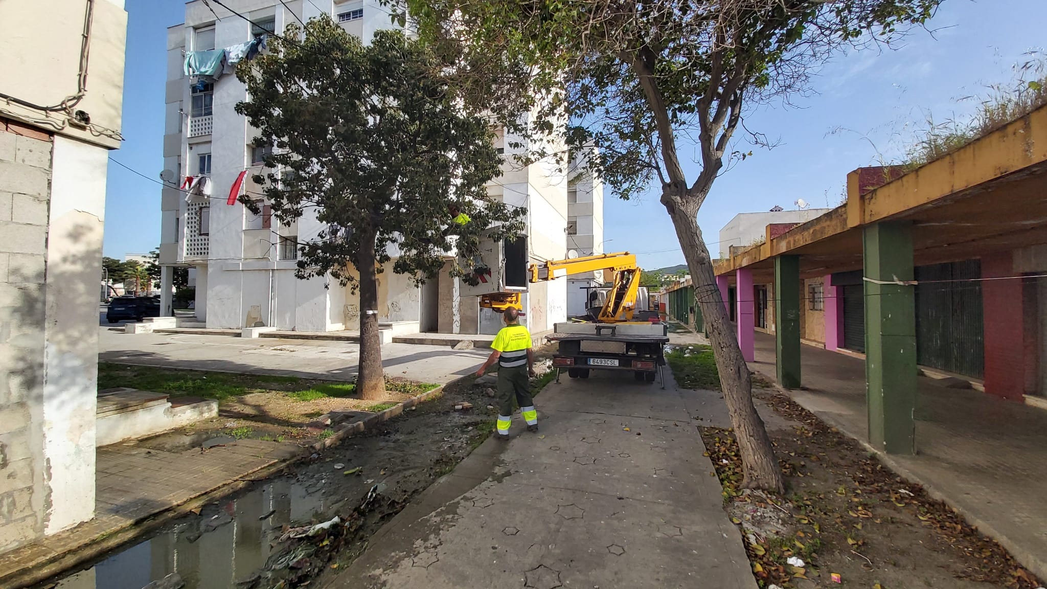 TRABAJOS EN VIRGEN DE LA LUZ