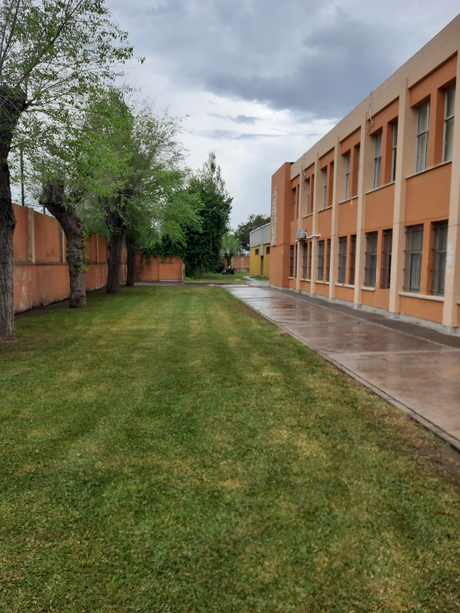 PARQUES Y JARDINES EN COLEGIOS