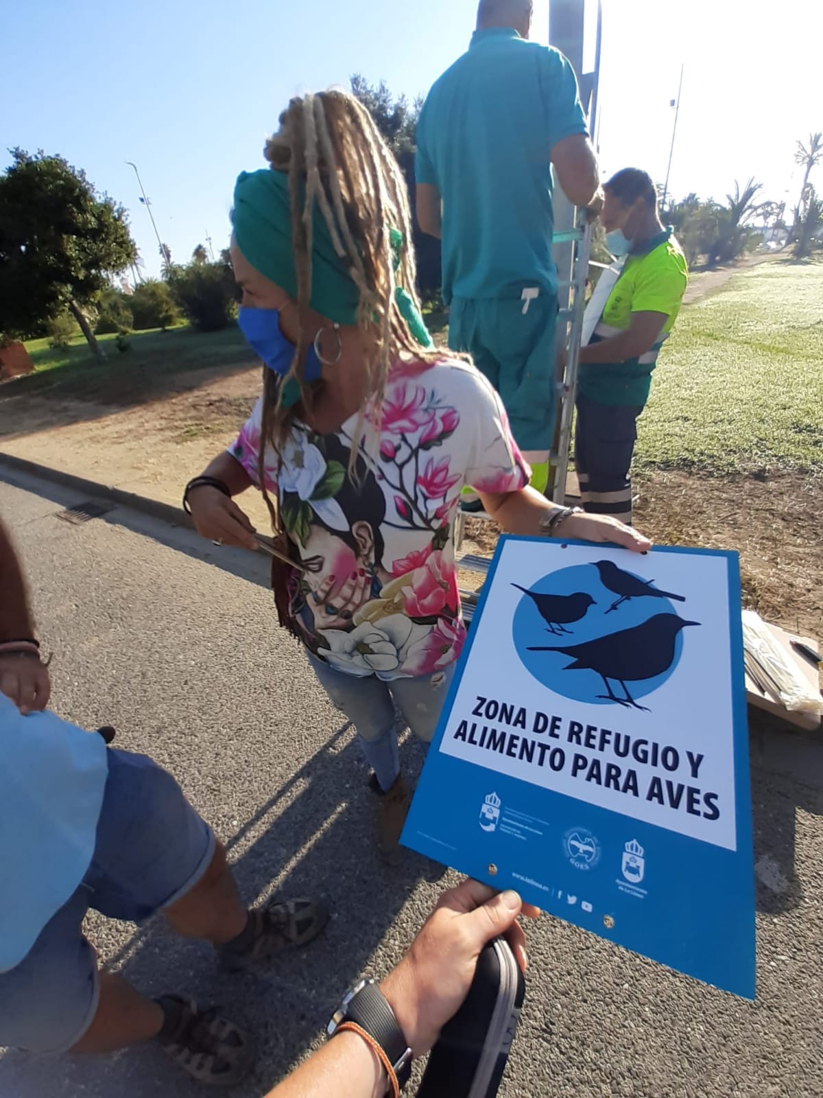 colocacion carteles aves 2