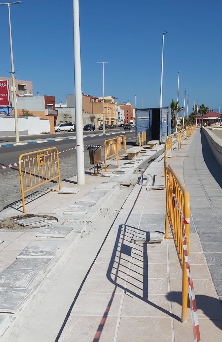 PLAN DE ARBOLADO URBANO