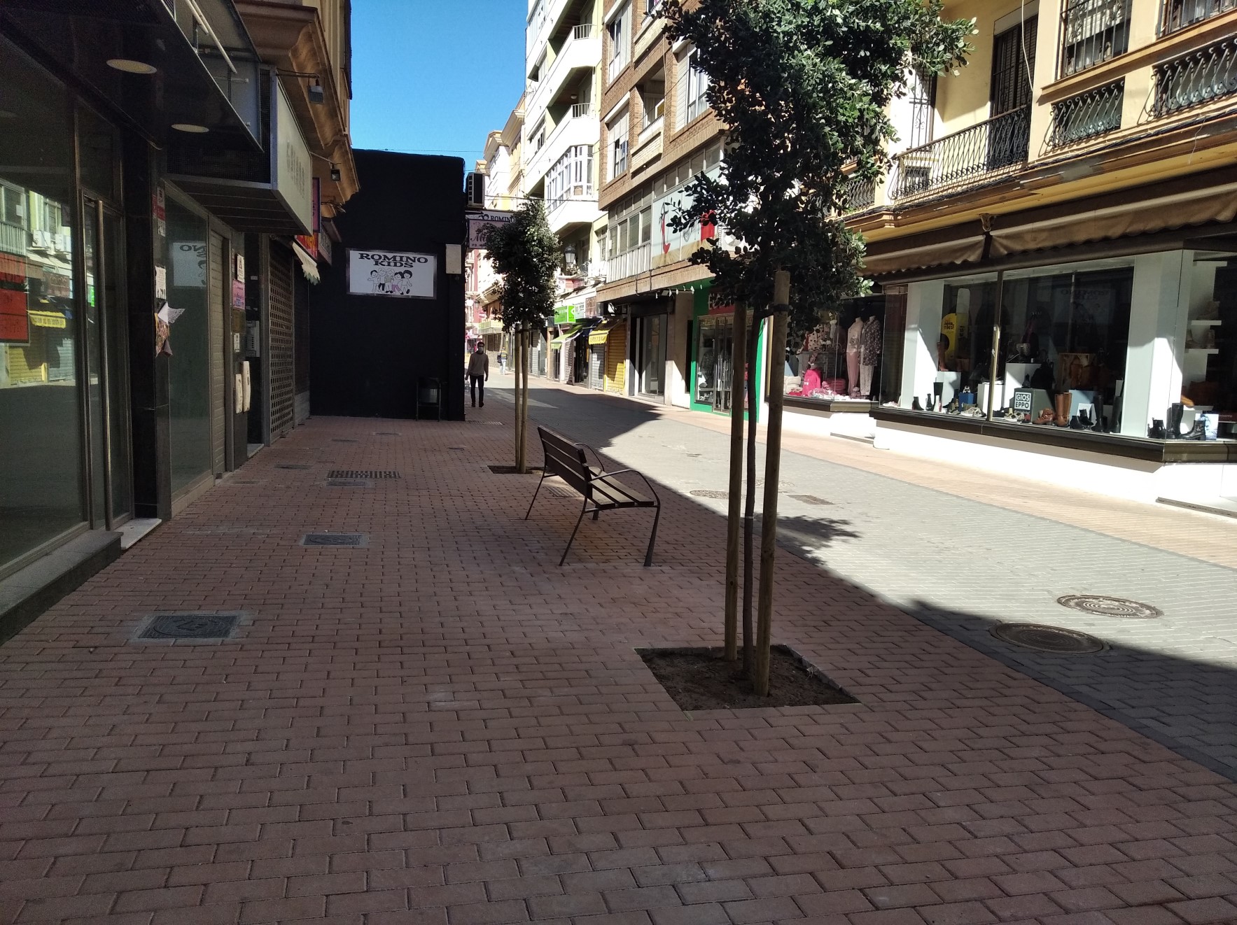 Plantacion arbolado calle San Pablo