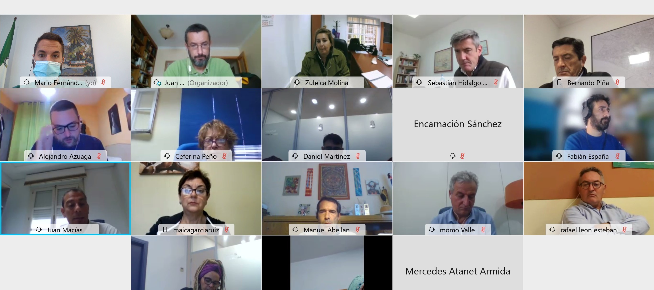 equipo de gobierno reunion virtual