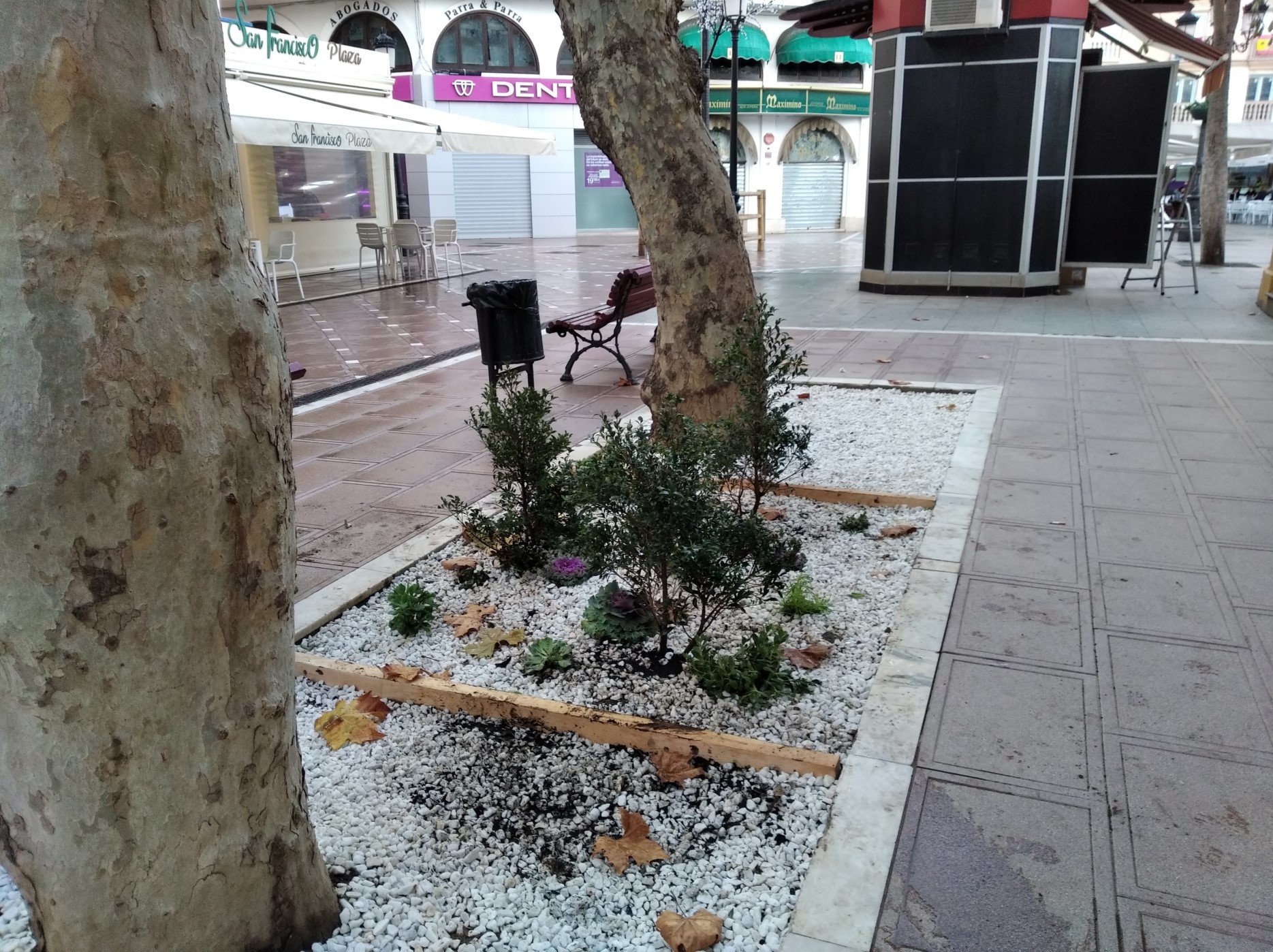 MEJORAS PARTERRES