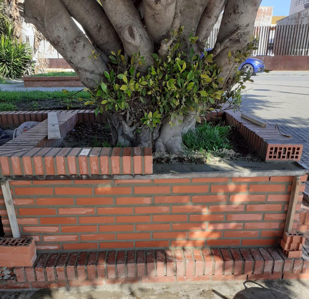 mantenimiento plaza camaron 1