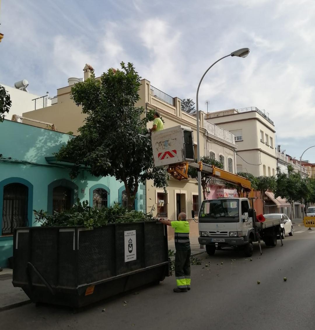 parques y jardines