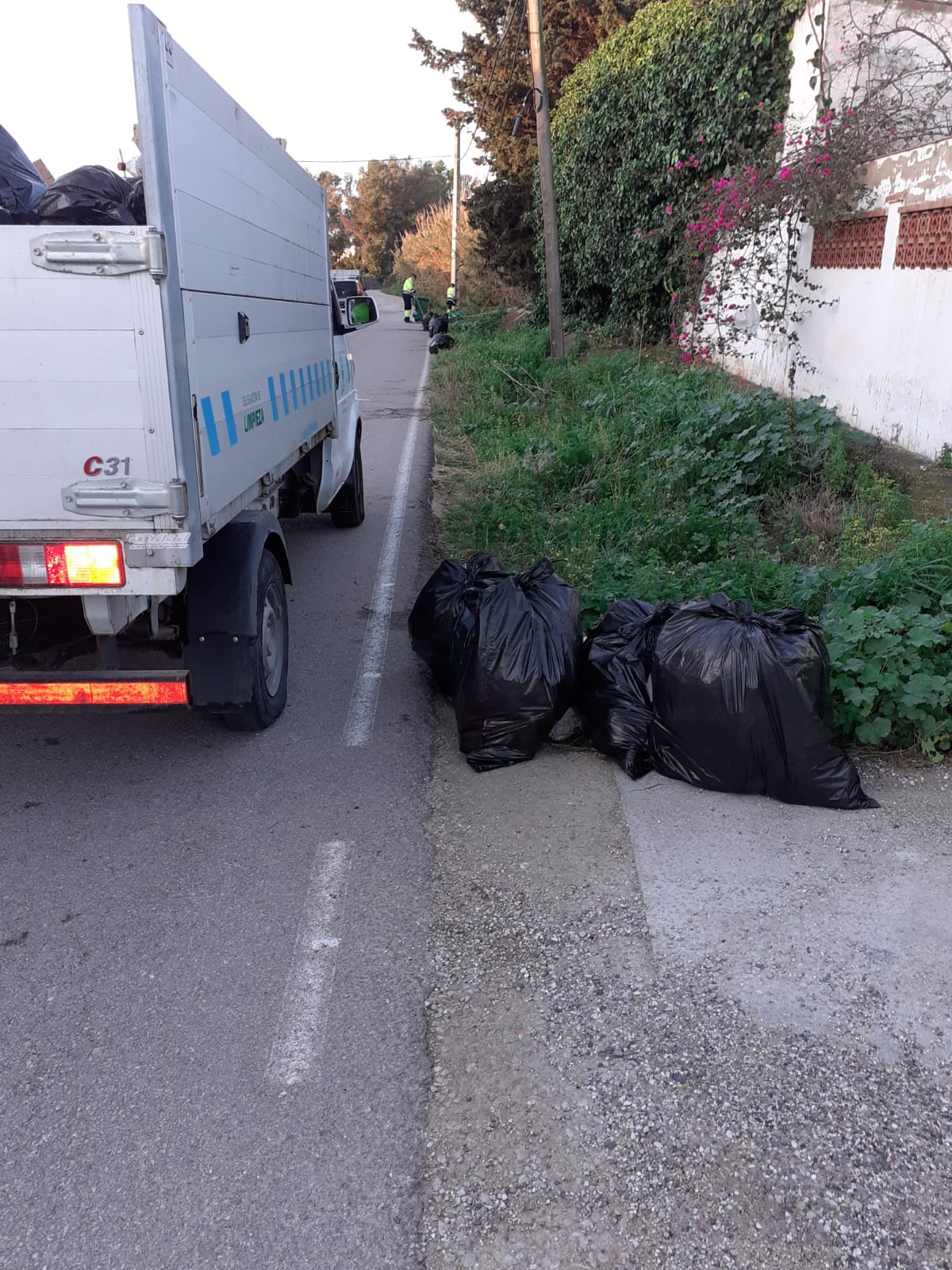 Limpieza Camino de Estepona 1