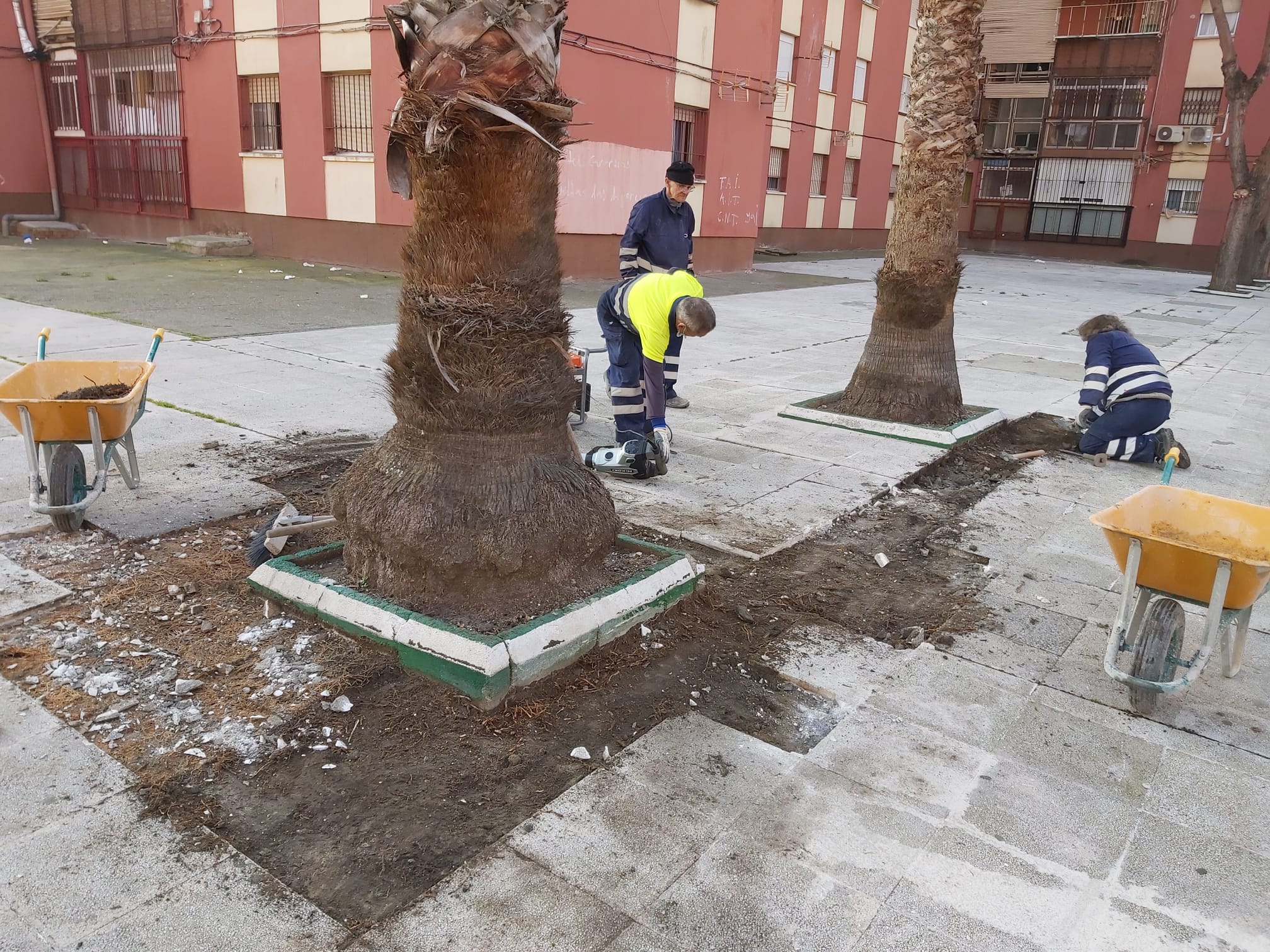 Reposicion acerados 1