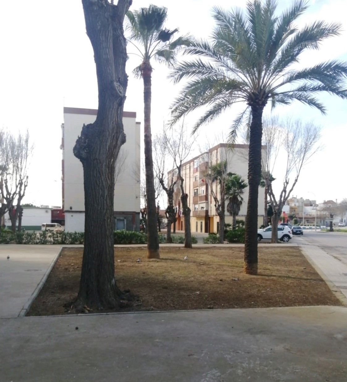 adecentamiento zonas vedes 3