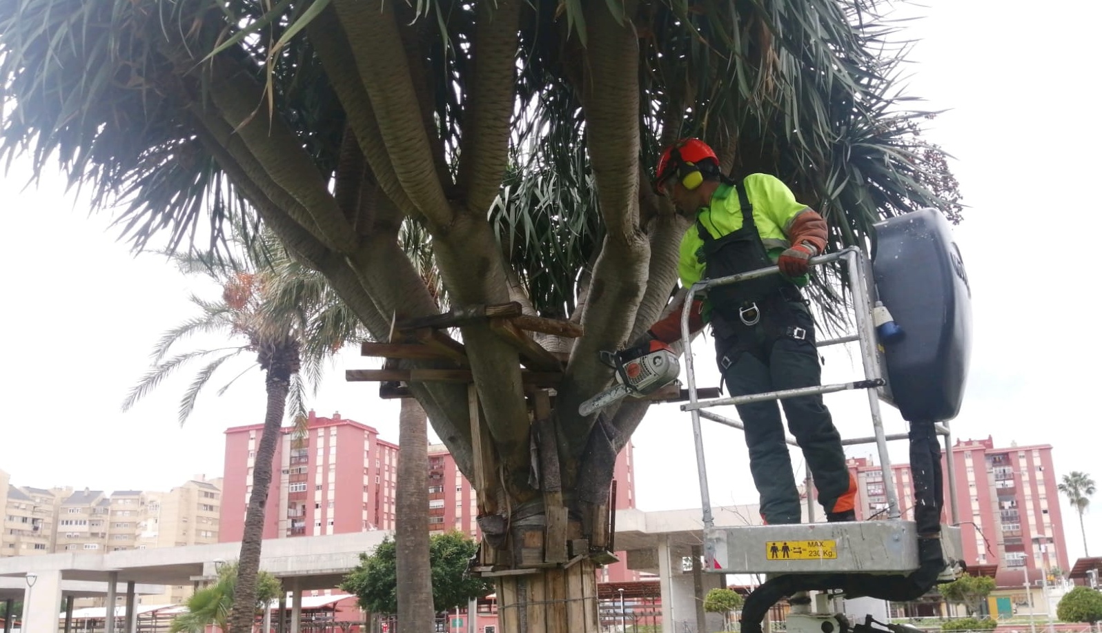 trabajos en los dragos