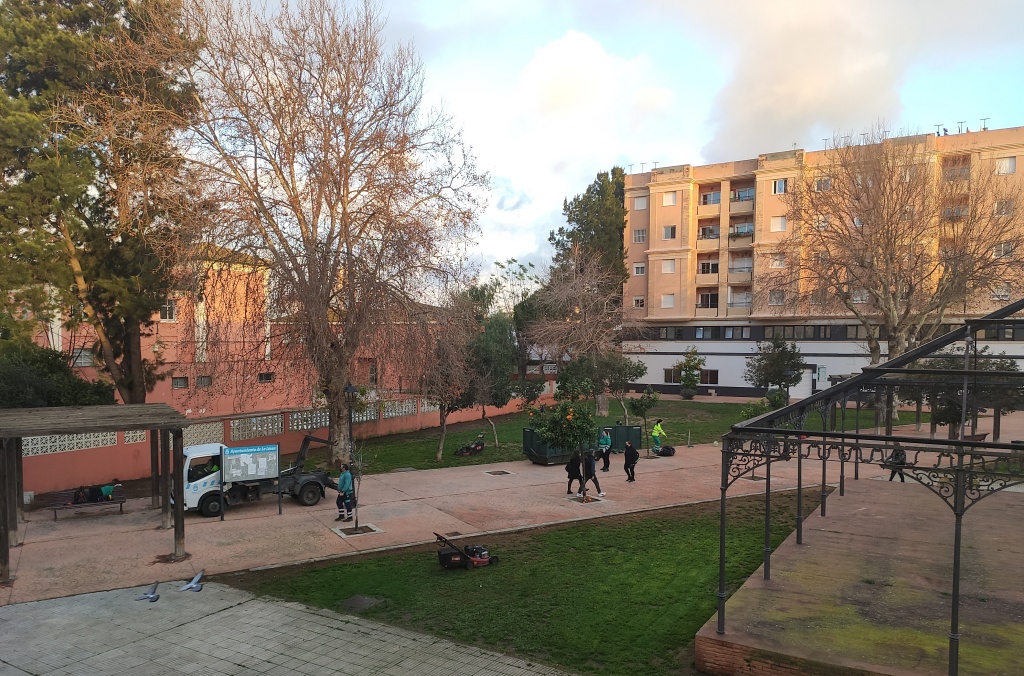 trabajos jardineria velada 1