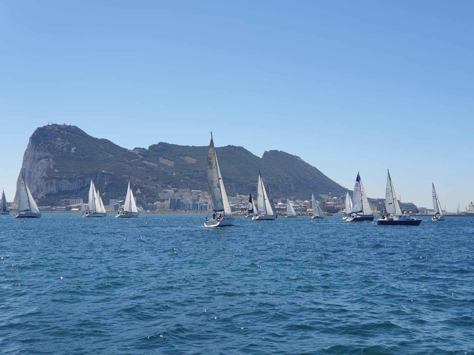 Regata Vela