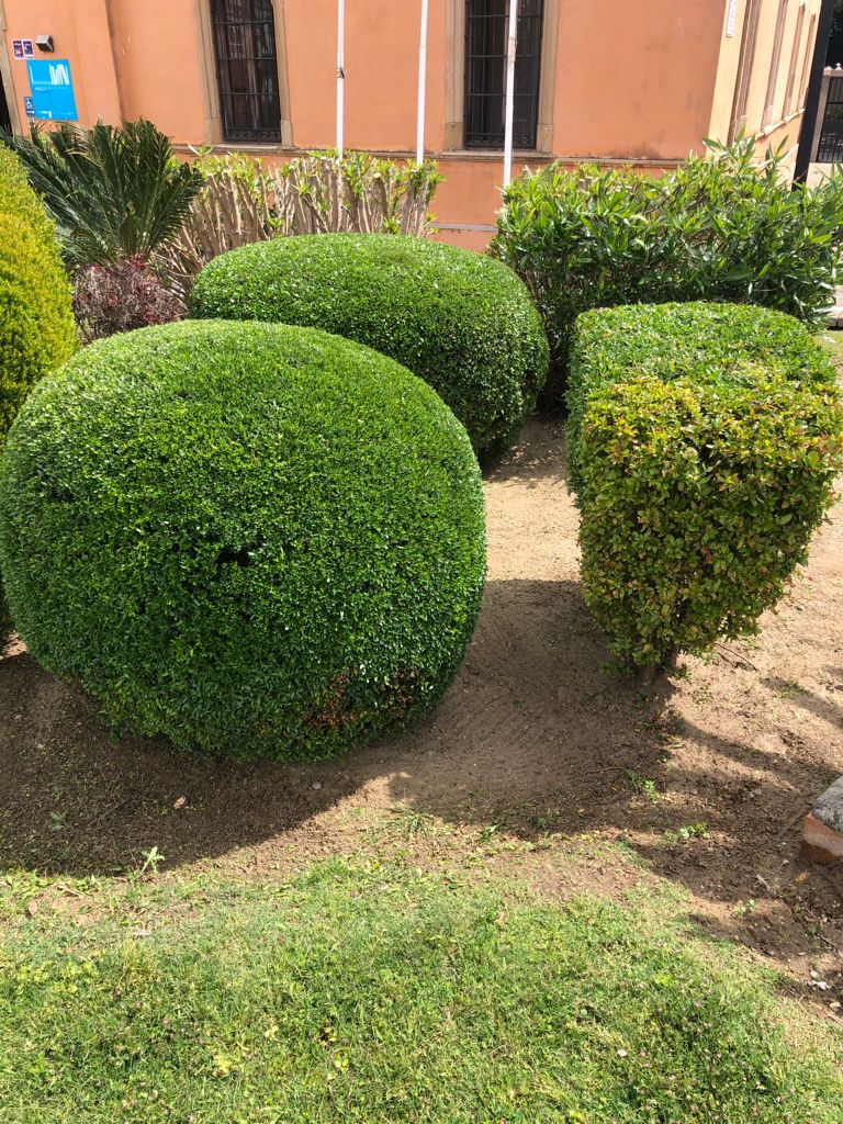 MEJORAS DE PARQUES Y JARDINES