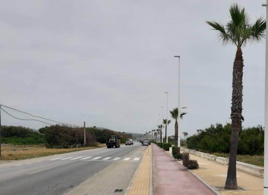 MEJORAS PARQUES Y JARDINES