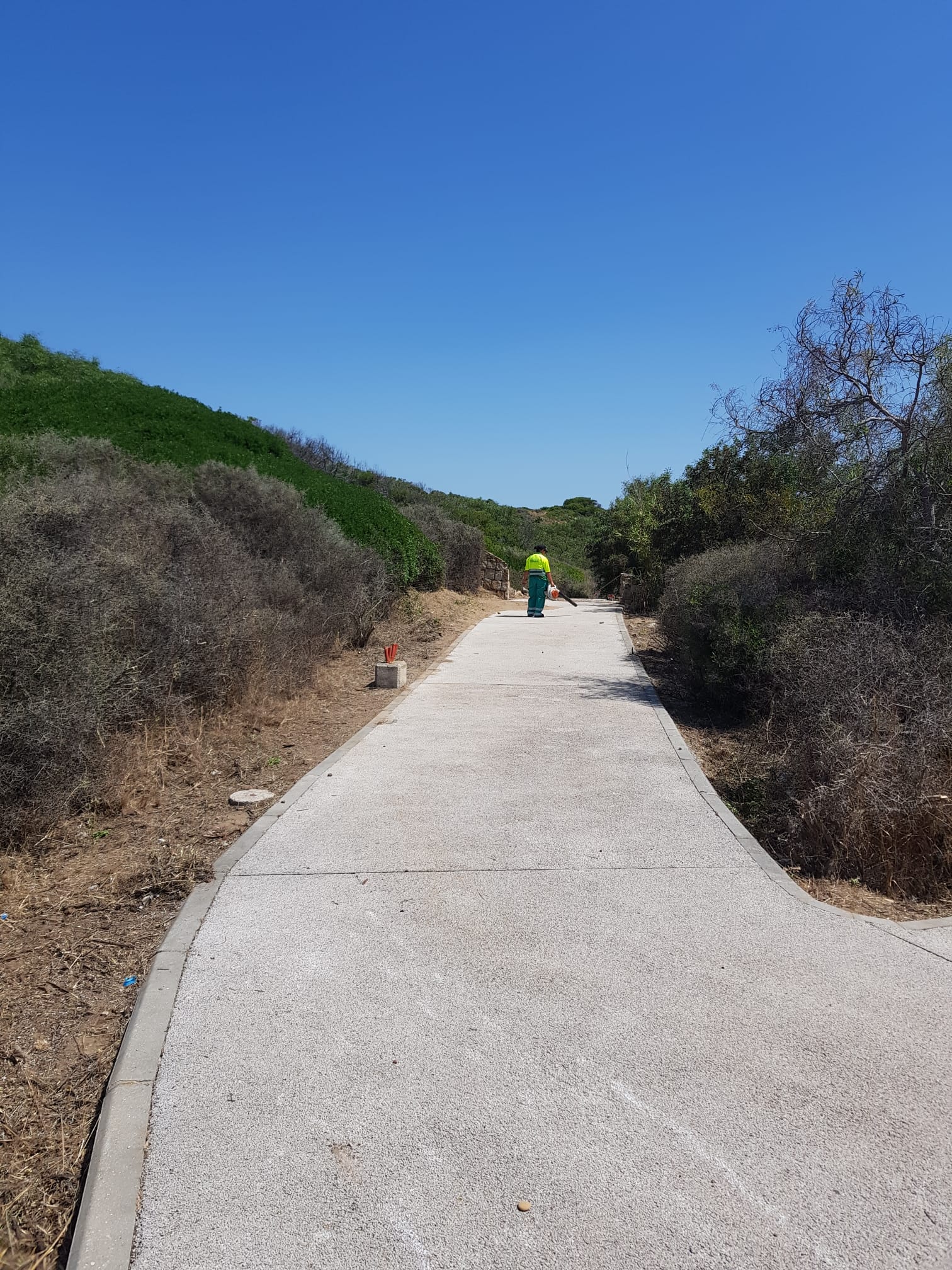 ACTUACIONES DE PARQUES Y JARDINES