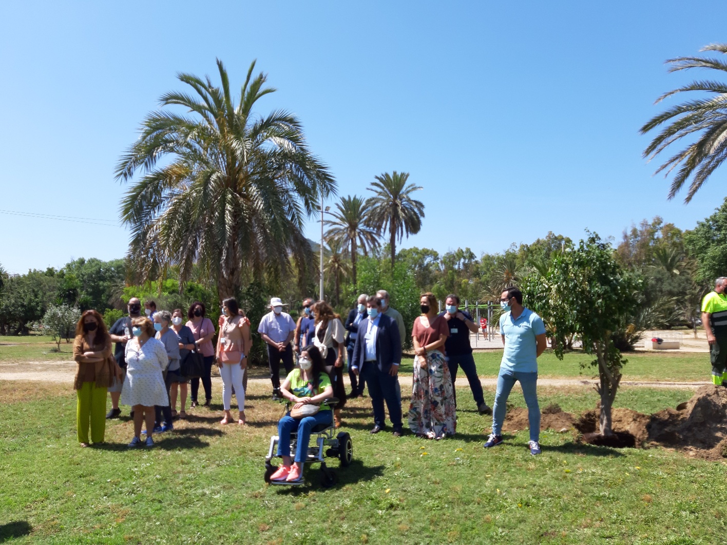 Arbol Dia del donante 1