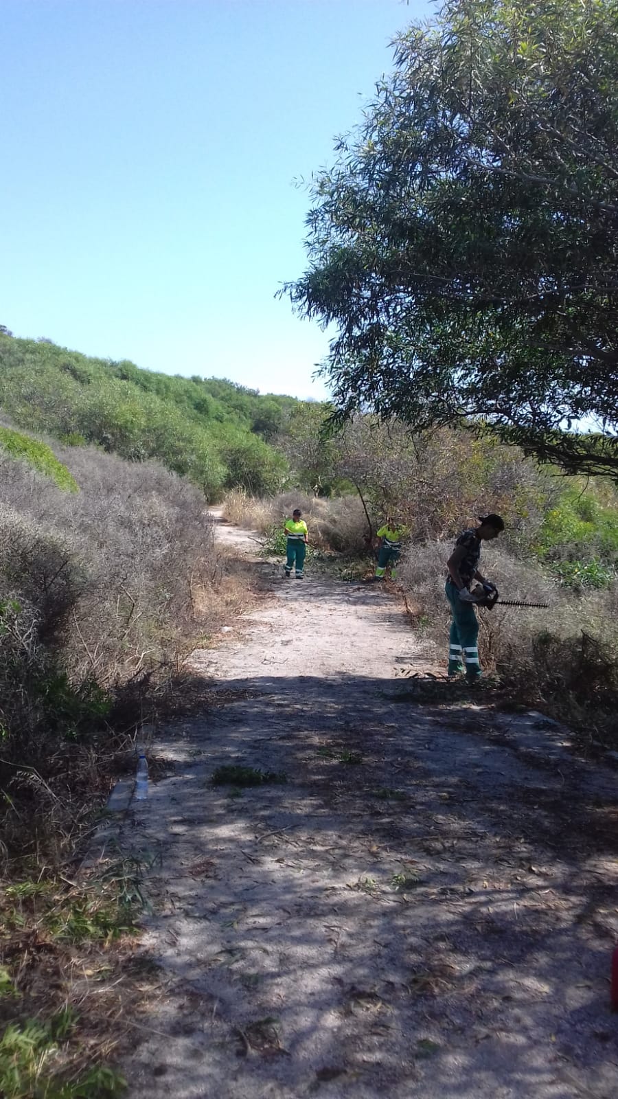 TRABAJOS PARQUES Y JARDINES 4