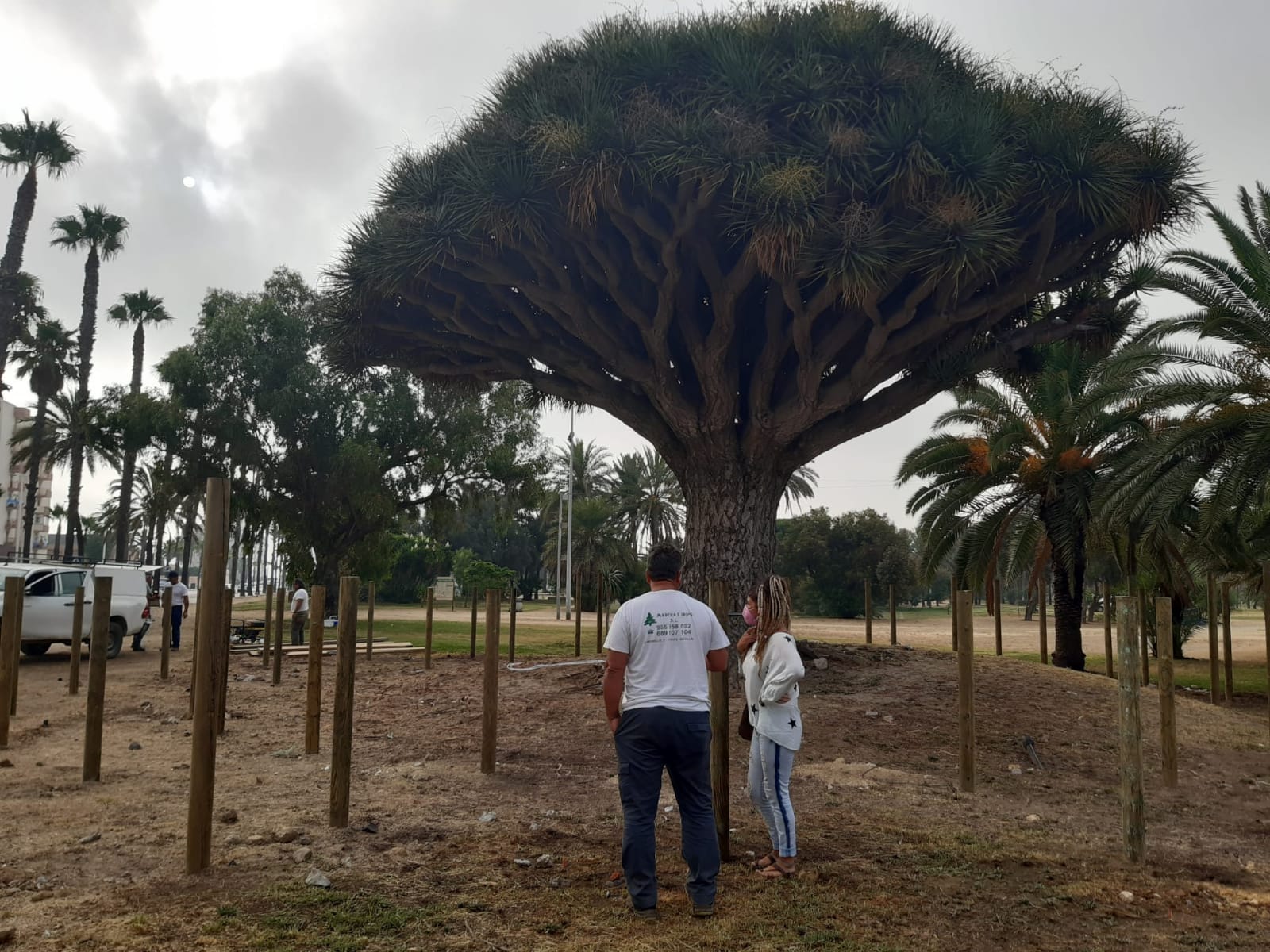 Inicio pasarela drago