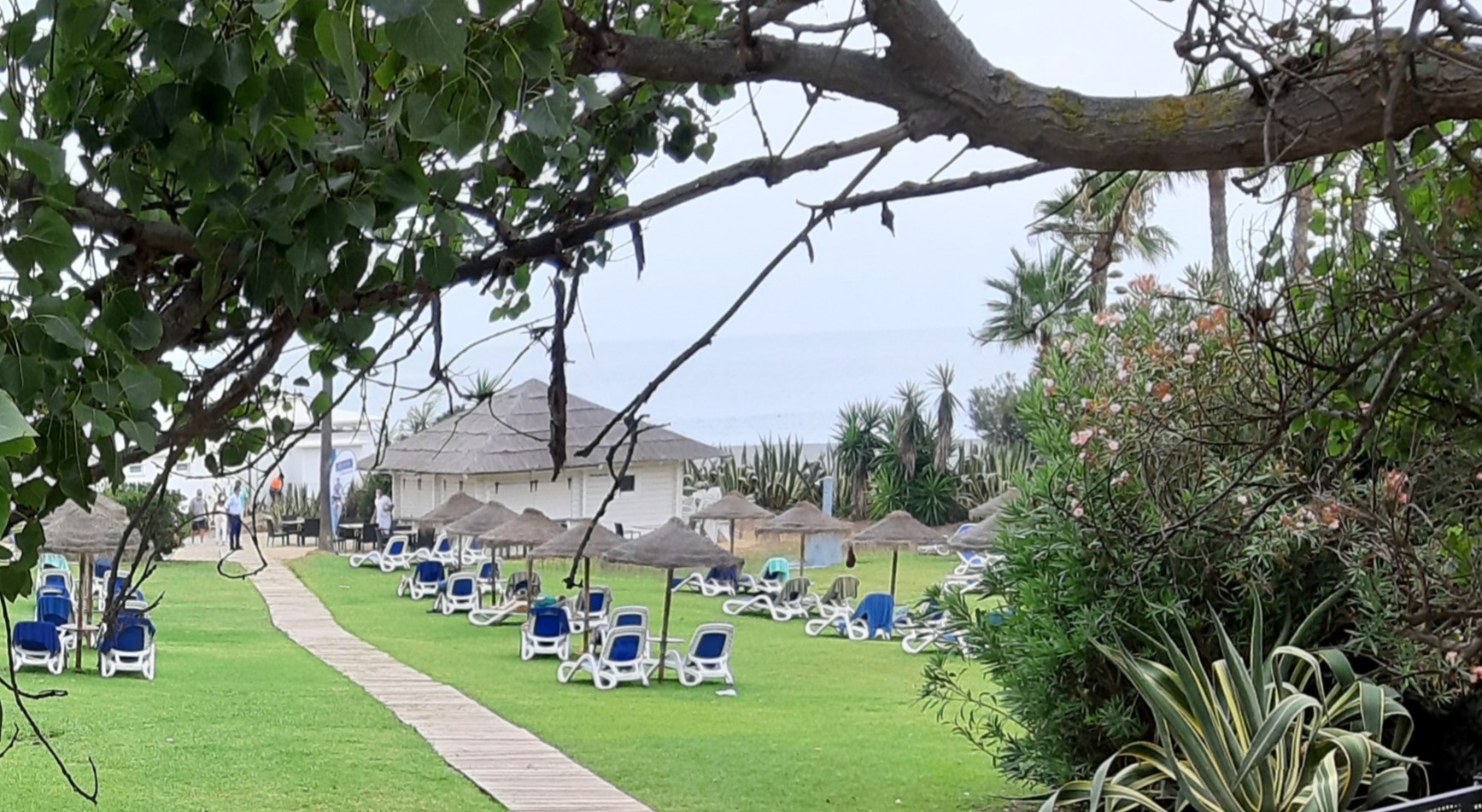 Beach club hotel La Linea