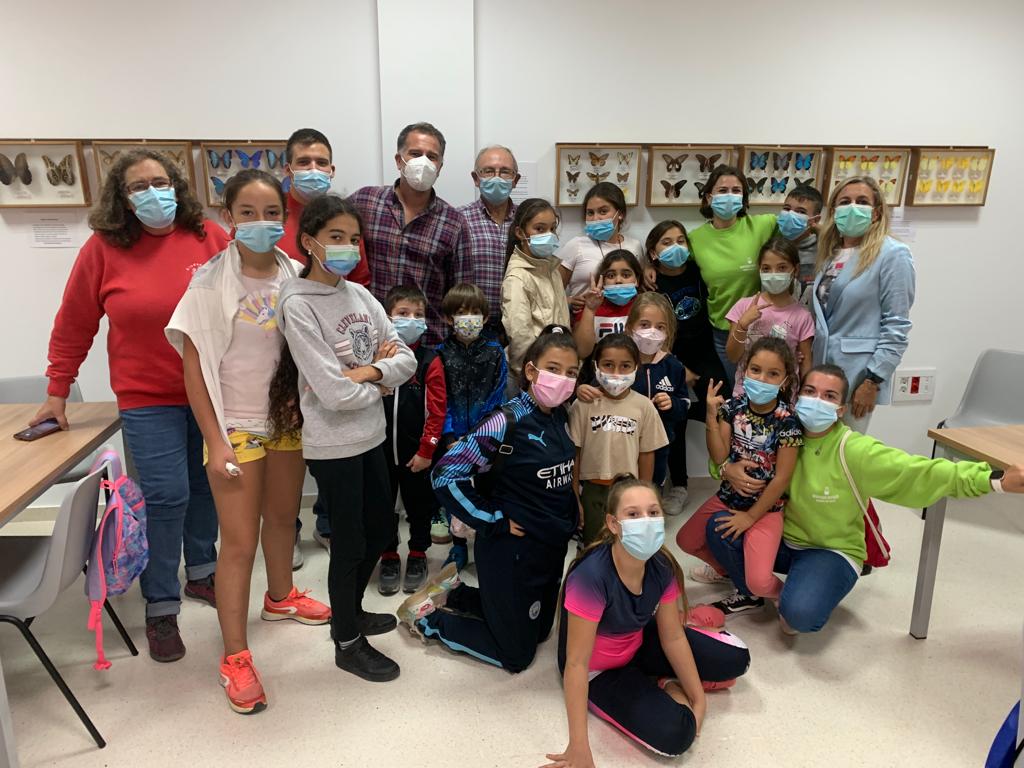 Exposición mariposas