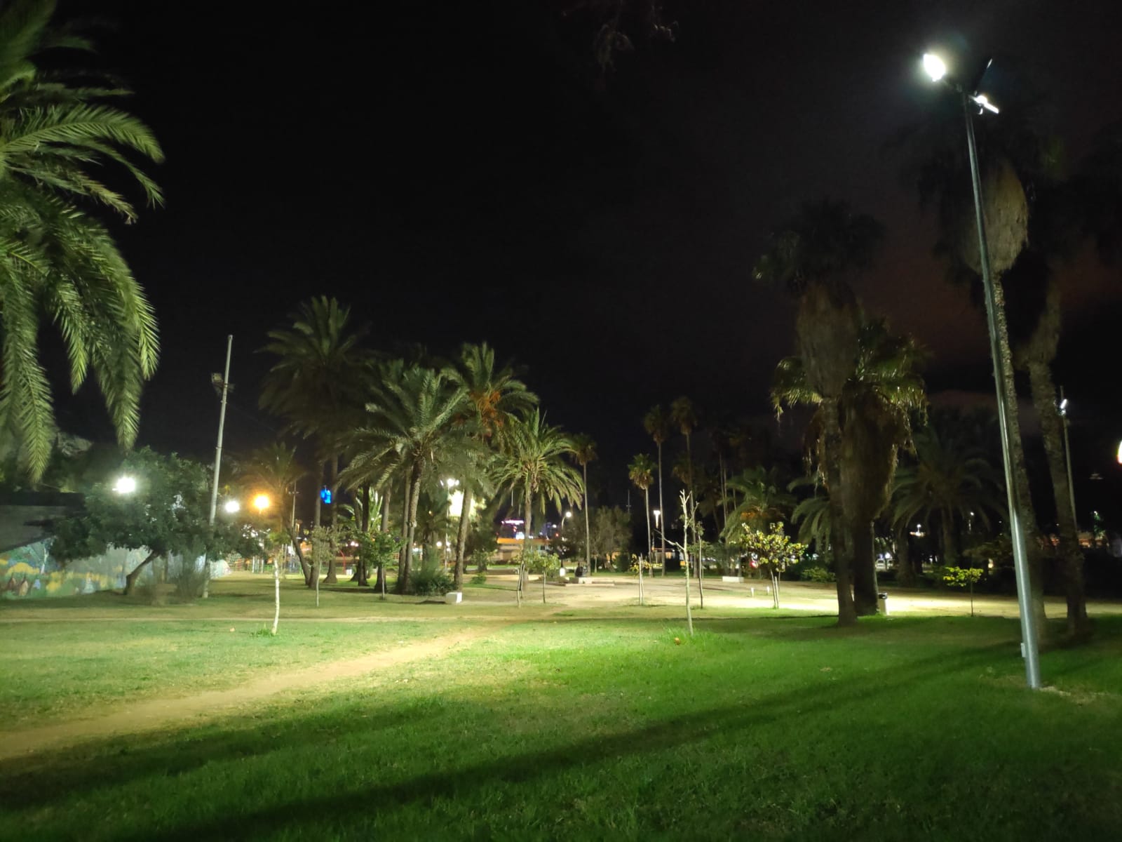 ILUMINACION DEL PARQUE