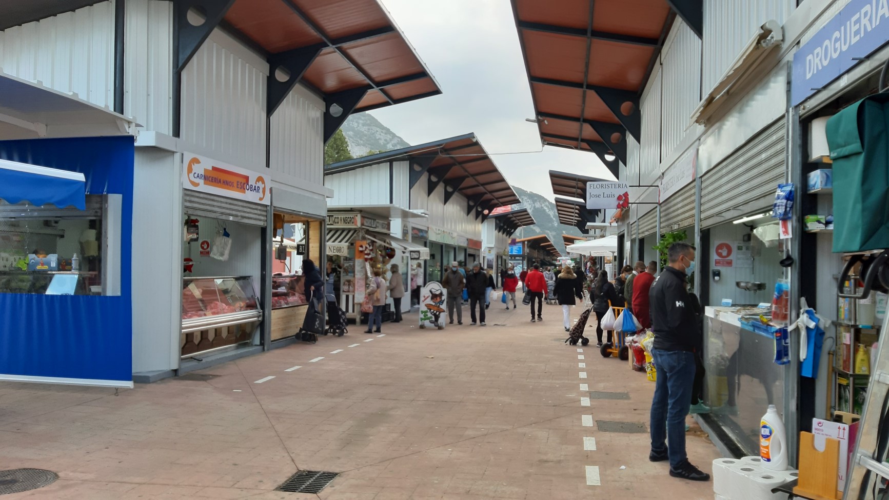 Mercado abierto 20 abril