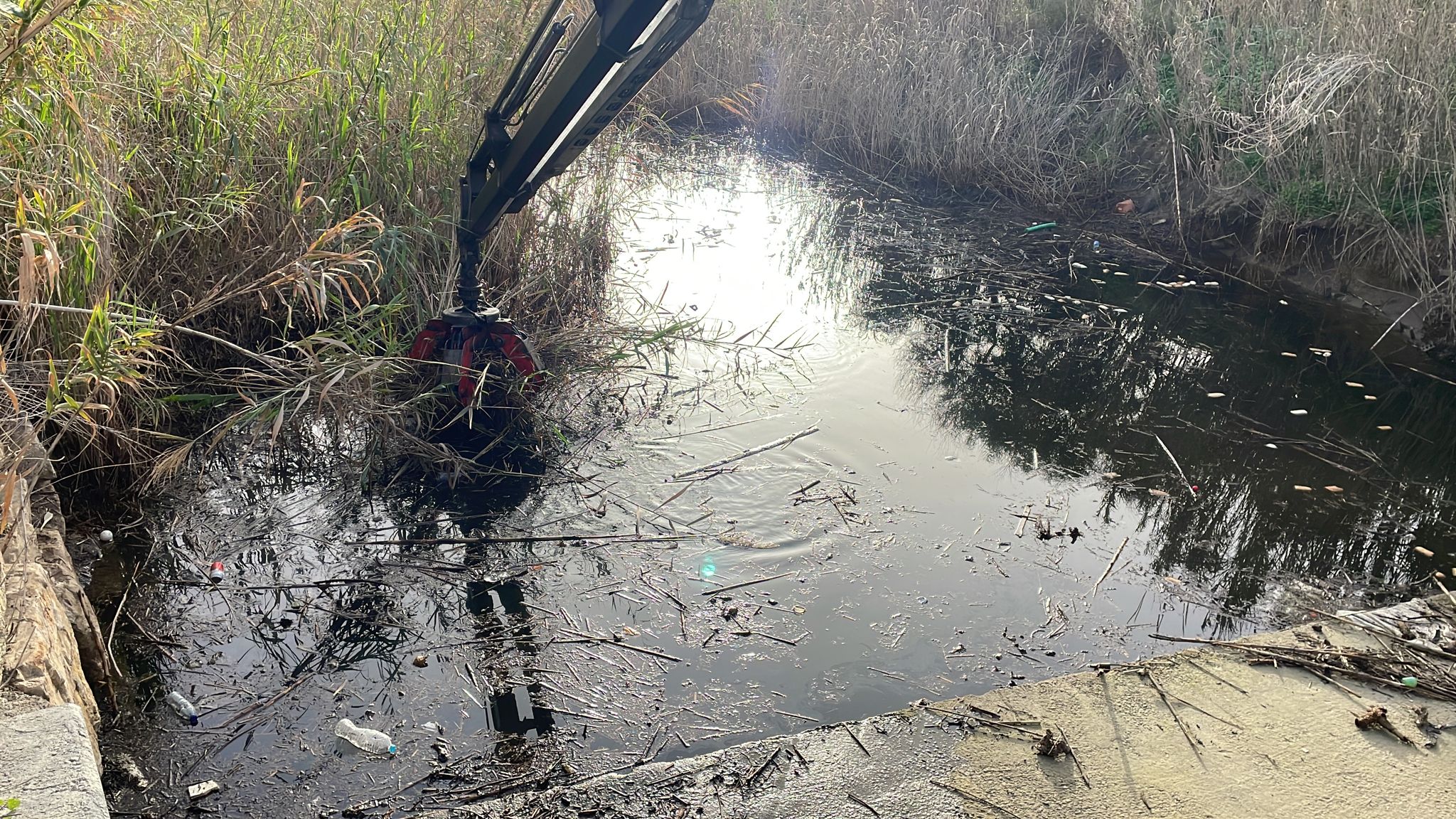 Limpieza de Arroyo Negro 1