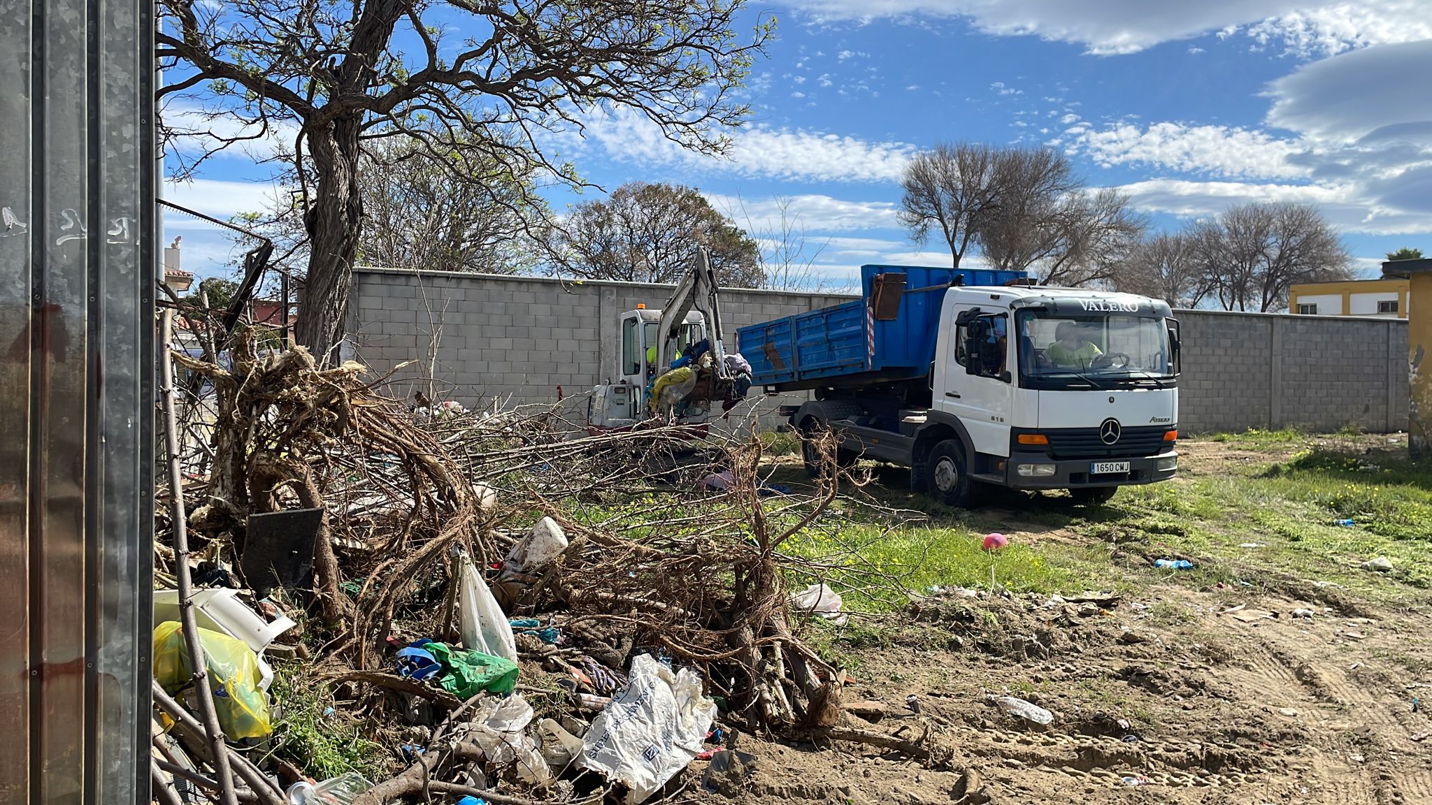 Limpieza solar virgen de la Palma 2