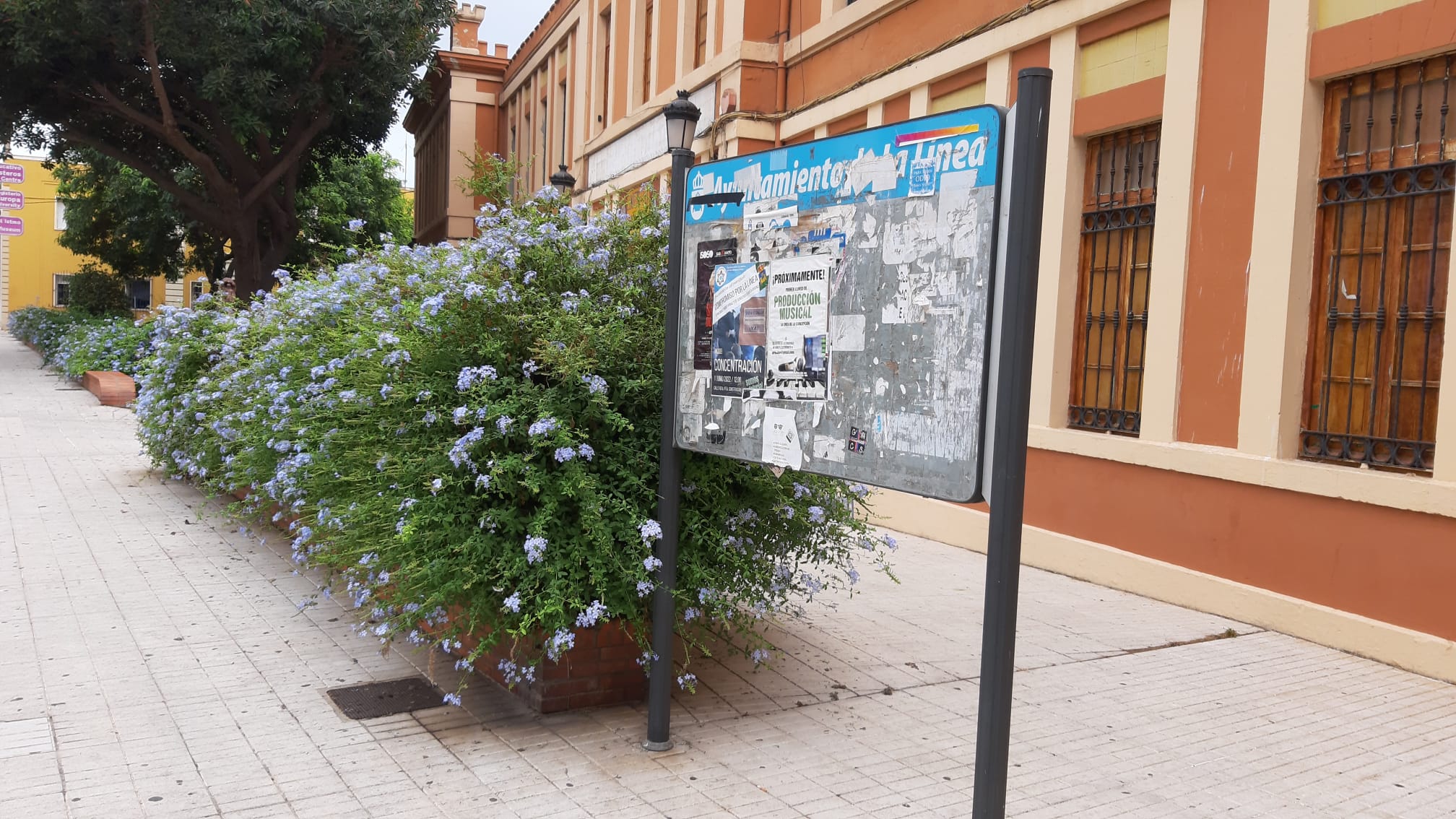 Panel anuncios publicitarios